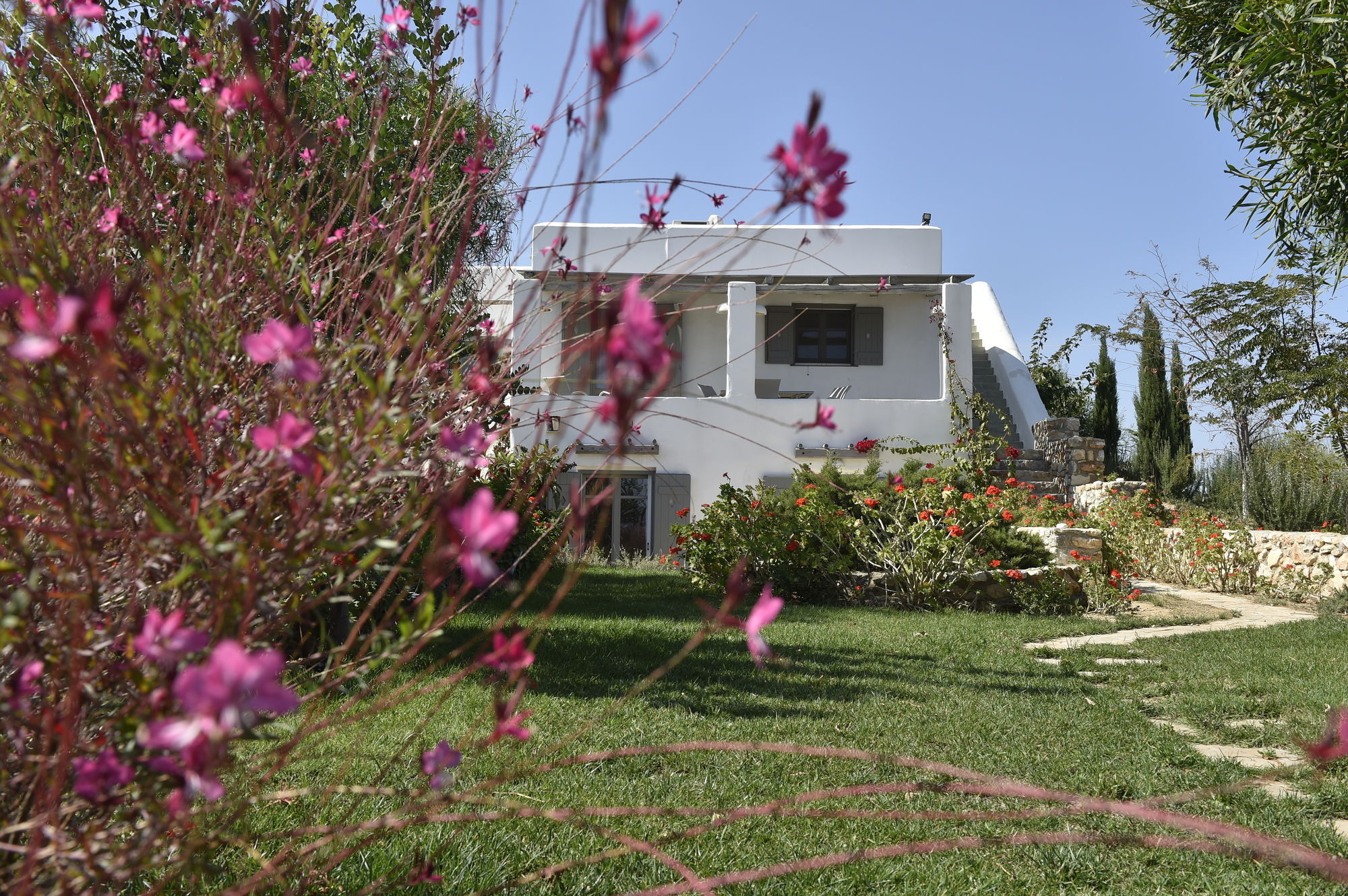 Naoussa Hills Boutique Resort- Adults Only Páros Exterior foto